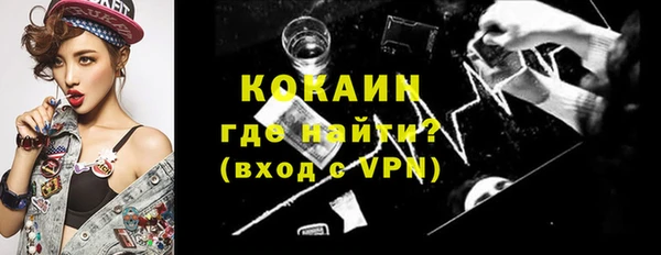 ПСИЛОЦИБИНОВЫЕ ГРИБЫ Арсеньев