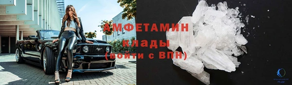 ПСИЛОЦИБИНОВЫЕ ГРИБЫ Арсеньев