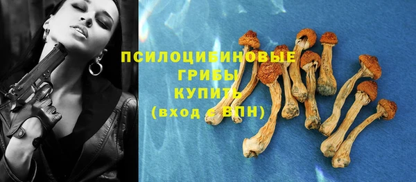 круглые Аркадак
