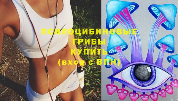 мдма Медвежьегорск