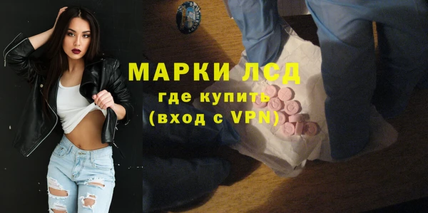 ПСИЛОЦИБИНОВЫЕ ГРИБЫ Арсеньев